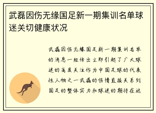 武磊因伤无缘国足新一期集训名单球迷关切健康状况 武磊因伤无缘国足新一期集训名单球迷关切健康状况